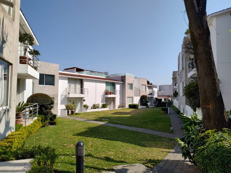 CallejonS-26-Jardin-2