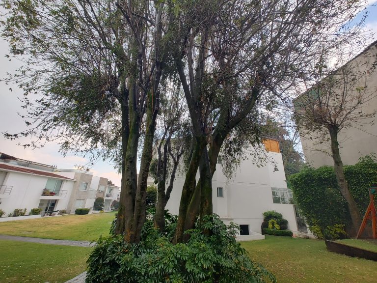 CallejonS-31-Ext-2-min